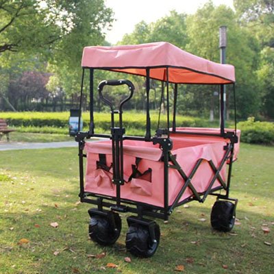 Folding Wagon Cart